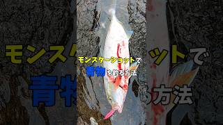モンスターショットで青物を釣る方法 #モンスターショット #釣り #ショアジギング #fishing #ロックショア #青物 #カンパチ #海釣り #海 #ocean #ルアーフィッシング #ルアー