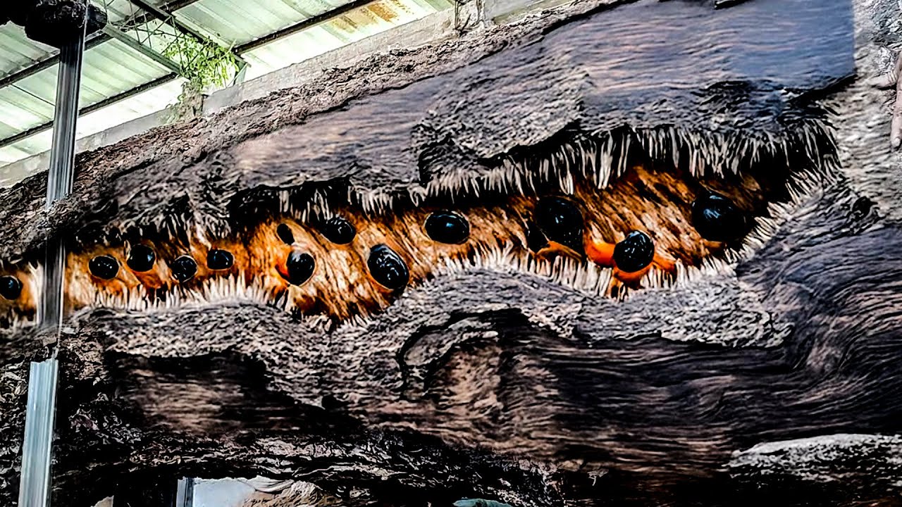 The Most Beautiful Trembesi Wood Boards We’ve Ever Milled