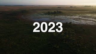 2023