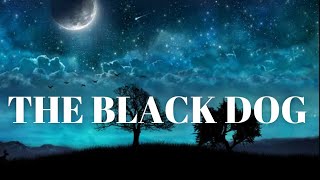 Learn English through Story Level 1- THE BLACK DOG - English listening practice - Audiobook