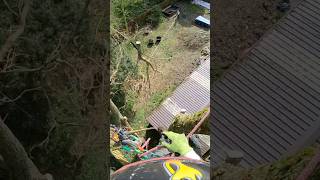 Celebrity Span Rigging Wealth