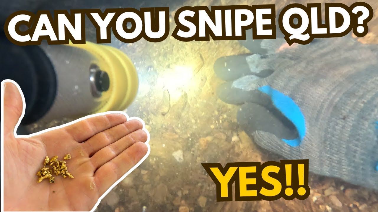 Снайпинг в Квинсленде? Да! Это возможно, и не только в одном месте, а во многих!