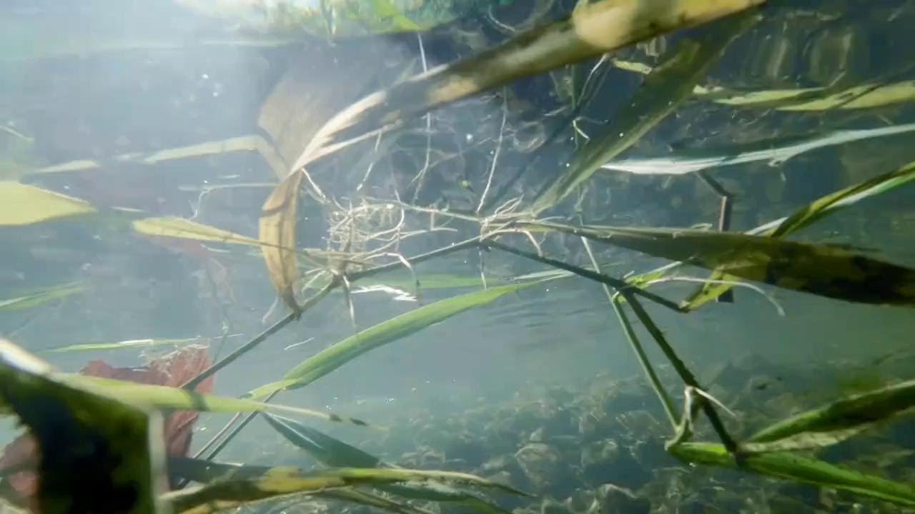 whatever comes, let it come.  ~ songs for the Soul