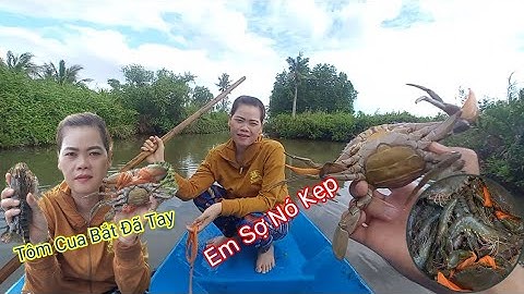 Trời Mưa 2 Vợ Chồng Đi Đổ Lú Bắt Tôm Cua và Kết Quả../@SongNuocCaMau.