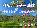 りんごっ子三味線(こまどり姉妹)~ZENZI