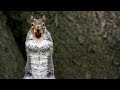 Sneaky Squirrels Steal Acorns | Spy In The Wild | BBC Earth