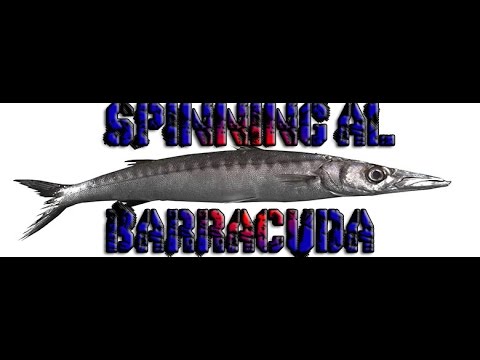 Apri Bocca Pesci Luccio Barracuda Pesce Serra Divaricatore Spinning 