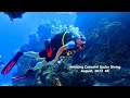 Amazing cozumel scuba diving august 2022 in 4k