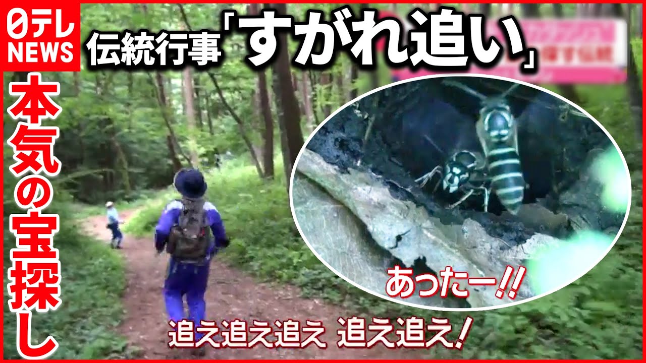 【全力ダッシュ】長野・伊那市の伝統行事「すがれ追い」に密着