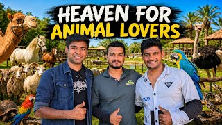 Perfect spot For Animal lovers in Bangalore | Picket Fence the Family Farm ❤️
