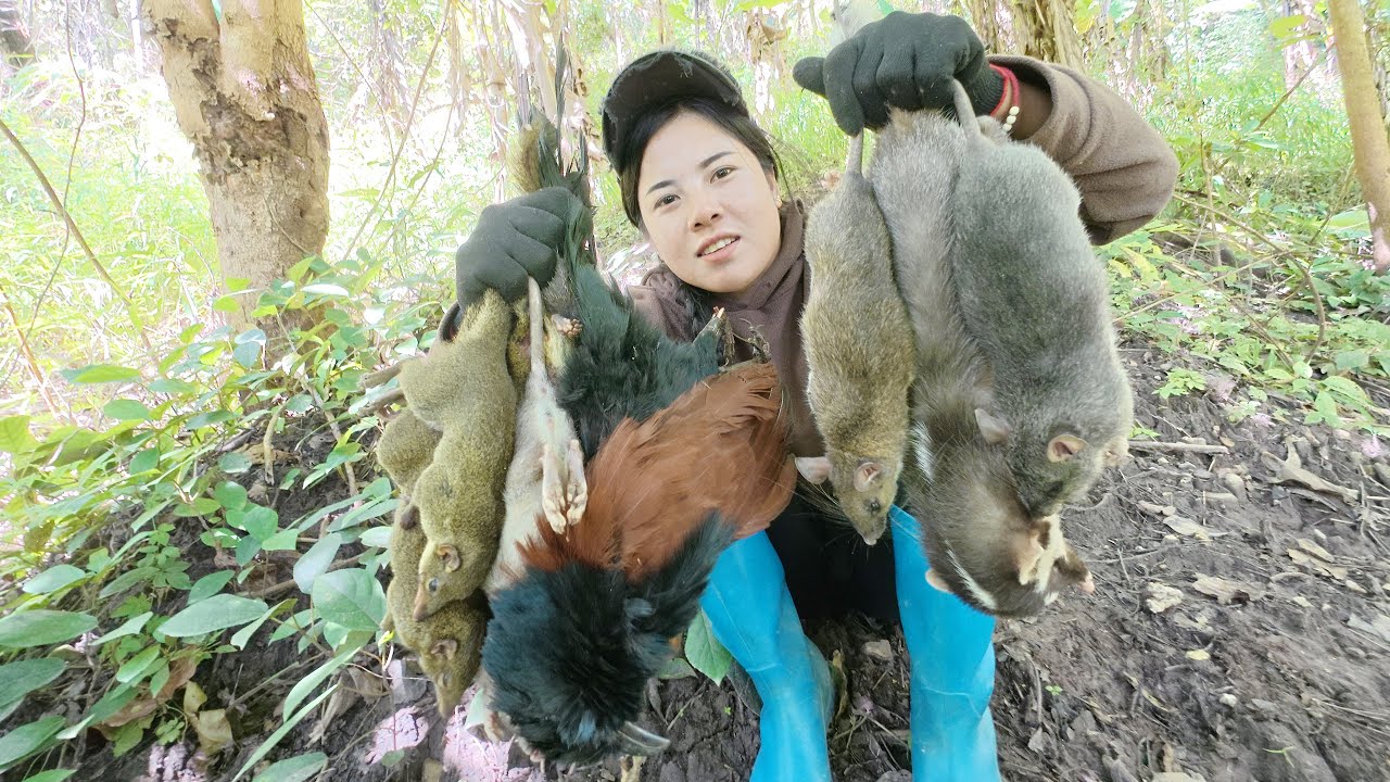 โคตรหมาน สาวลาวใส่กับดักหนูในป่าลึกลับ