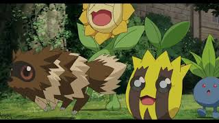 The Shiny Legendary Beasts Move Towards Crown City Pokémonzoroark Master Of Illusions