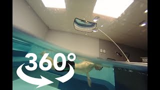 360 Endless Pool Swimming Half Above/Half Below Water