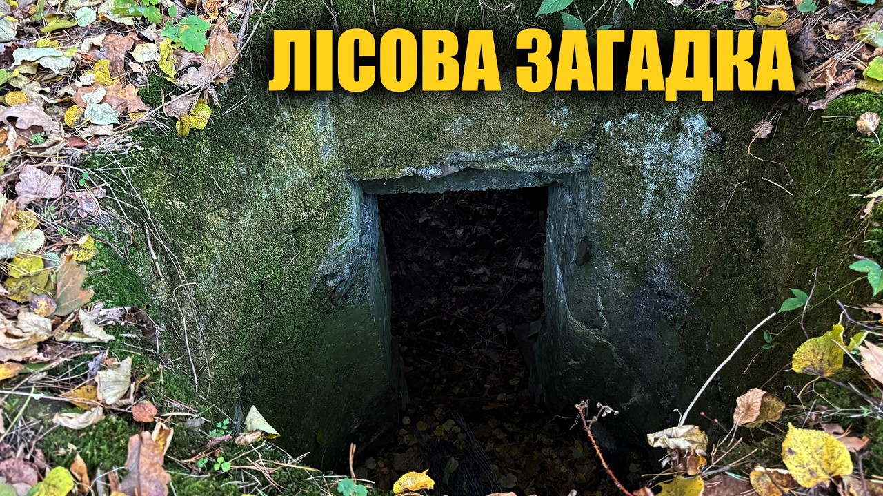 Знайшли забутий бункер в лісі. Пошук з металошукачем