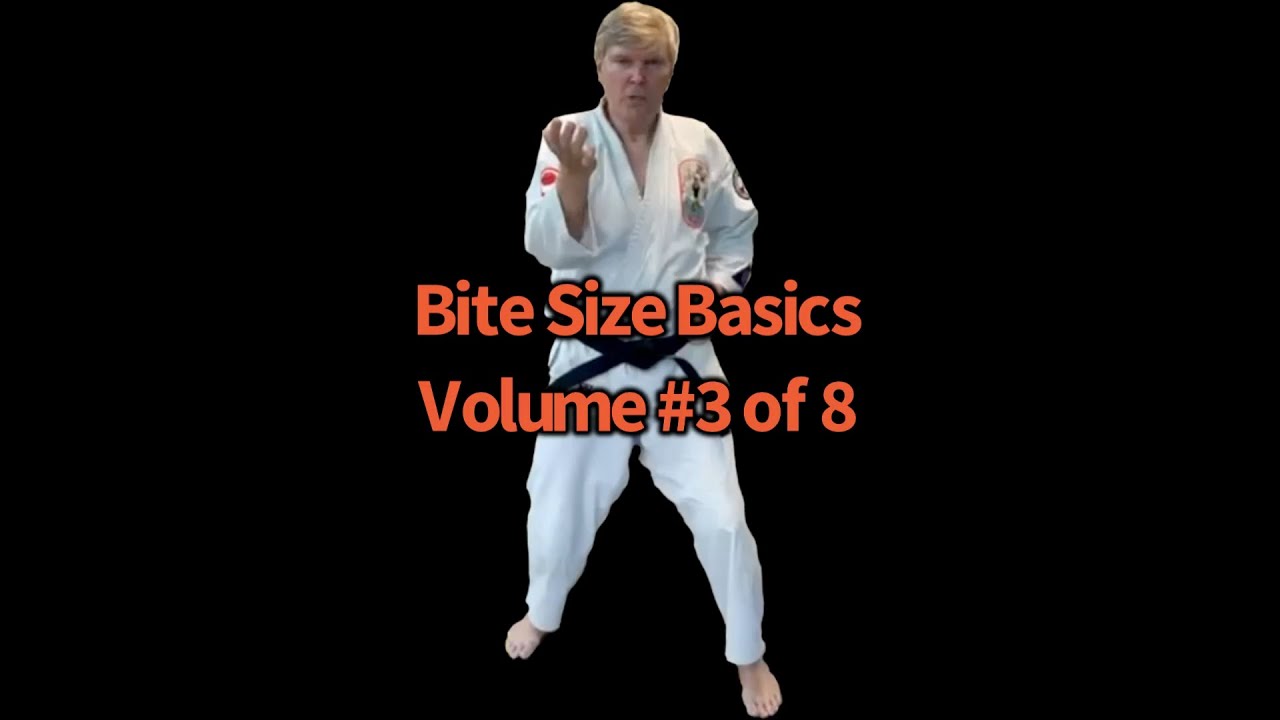 Karate for Beginners: Bite Size Basics - YouTube