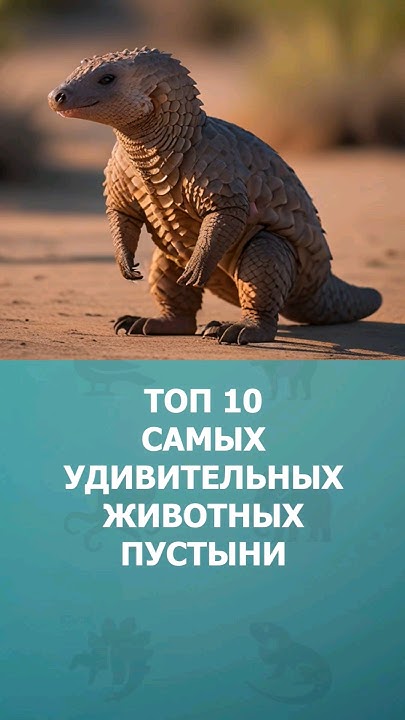 Топ 10 самых удивительных животных пустыни #пустыня #топ10 #комарик # ...