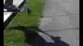 Skate and scooter sesh.