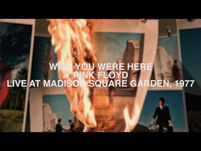 Pink Floyd - Wish You Were Here #77 