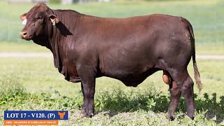 Yulgilbar LOT 17 : YUL24MV120 (P)