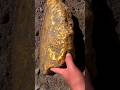 Bulunmu en byk nabit altin  largest nabit gold ever found 