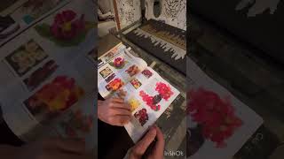 Baker Creek Heirloom Seeds Catalog 2025.