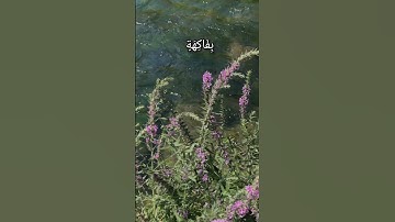 هذا ذكر وإن للمتقين لحسن مآب تلاوة خاشعة للقارئ محمد اللحيدان سورة ص{٤٩-٥٤} #القرآن_الكريم #اللحيدان