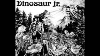 Dinosaur Jr. - Quest