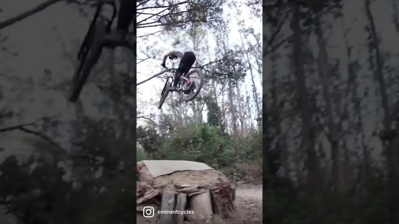 The Onset LT… as Playful as can be