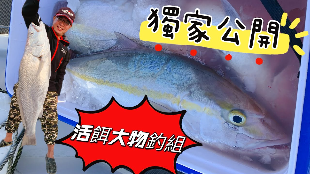 活餌大物釣組，全部公開分享，一次讓你學會，餌的大小決定你的綁法（單鉤、外掛式子母鉤、活動式子母鉤）#釣魚 #大物 #教學系列 #公開#小技巧 #活餌 #大咬#船釣