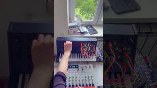 ms20 drum brute analog jam#ms20 #drumbrute #electronicmusic #synthjam #hardwarejam