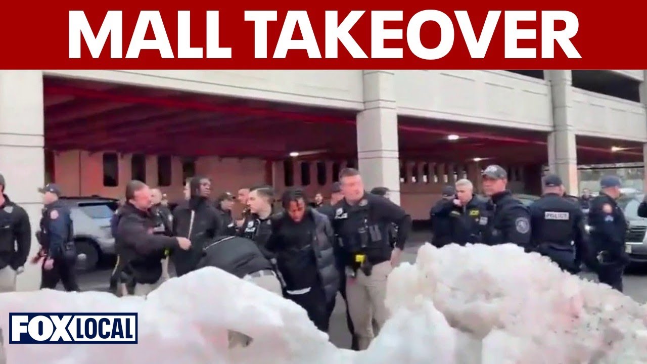 9 teens arrested after 'social media takeover' at Green Acres Mall