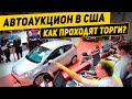 Как проходят торги на авто аукционе в США. Эмоции и ставки | Bullmotors