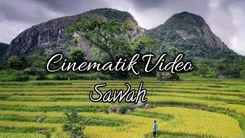 Cinematik Video | Sawah |Gattareng