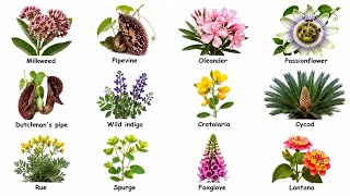 Every Plant That Hunts Without Moving Explained — Silent Killers of the Plant World