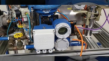 Industrial networks - Pepperl+Fuchs mobile Profibus PA network Analysis