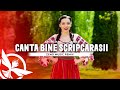 Georgiana Păduraru - Canta bine scripcarasii | Zeno Music Remix