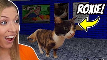 Mijn kat zit IN deze Baldi Mod!
