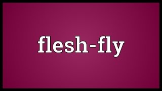 Flesh-fly Meaning