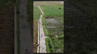 KKN-T Pariwisata SDGs 13 - Climate Action: Kerja Bakti dan Penanaman Bunga di Desa Sarikemuning KKN-T Pariwisata SDGs 13 - Climate Action: Kerja Bakti dan Penanaman Bunga di Desa Sarikemuning
