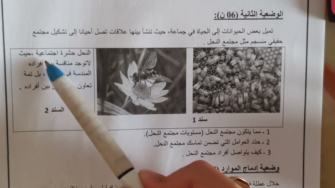 اختبار الفصل الاول علوم طبيعية سنة ثانية متوسط