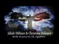 Jakub Hubner &amp; Christina Delaney - Birds Of Prey (Christina Aguilera Cover) HD