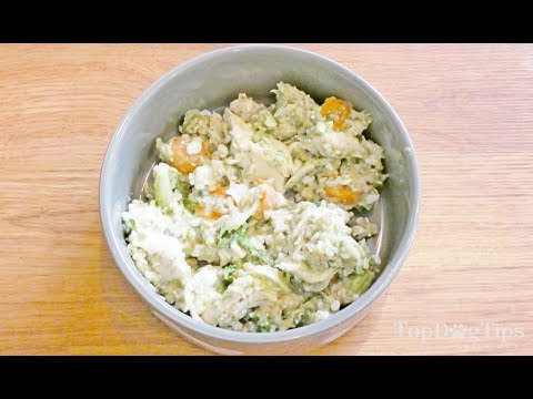 Homemade Dog Food for Arthritis Recipe (Grain-free, Low-fat, Anti-inflammatory)