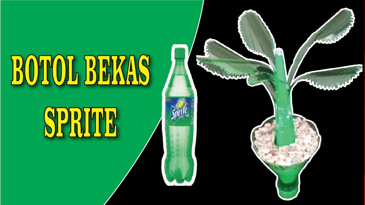  Membuat  Kerajinan Tangan Dari  Botol  Bekas  Pohon  kecil 