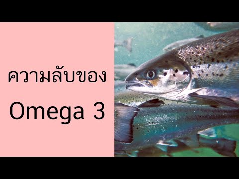 [Beat LIVE]    ลดไขมันด้วยโอเมก้า 3 จากพืชหรือปลา?