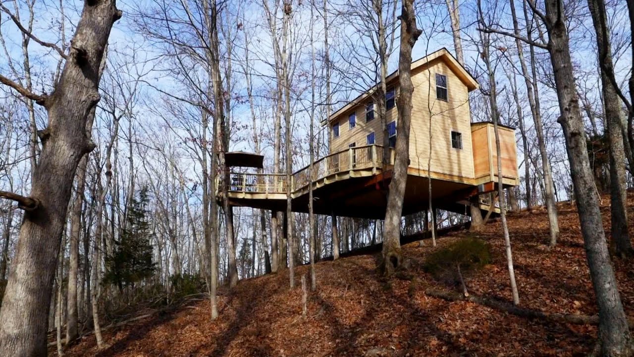 treehouse masters cast animal planet behind the build kentucky climbers cottage treehouse masters youtube treehouse masters cast animal planet behind the build kentucky climbers cottage treehouse masters youtube