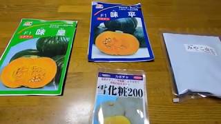 Pumpkin varieties and planting times for each variety - YouTube
