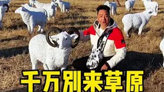 2024年的最后一个月别留遗憾去想去的地方见想见的人看想看的风景去了呼和浩特的博物院去了著名的青城驿站藏传佛教大昭寺塞上老街清真大寺美食街宽巷子还有苍凉的敕勒川草原冬天的草原