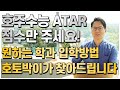 호주수능 ATAR점수만 주세요! 원하는 학과 입학방법 찾아드리겠습니다.[호주유학클럽 TV]