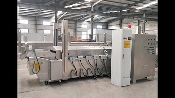 Automatic fried dough twist Continuous Fryer Machine