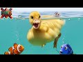 ছোট্ট হাঁসছানার রোদেলা সকাল🌞 || Little duckling's sunny morning Bangla story for kids || #storytime